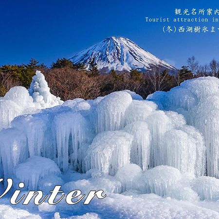 Station Villa Plaisir Mt. Fuji Fujikawaguchiko Bagian luar foto